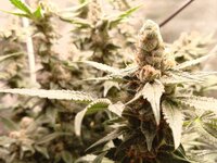 photo_2026-01-09_18-06-13 (3).jpg