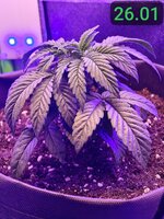 26 01 конец суток.jpg