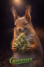 ChatGPT Image 3 мар. 2026 г., 17_45_46.png