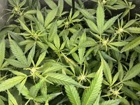 3 — копия.jpg