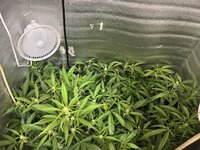 1 — копия.jpg