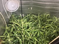 5 — копия.jpg