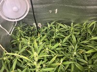 6 — копия.jpg