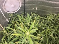 7 — копия.jpg