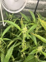 10 — копия.jpg