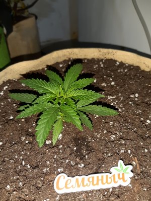 20220601_220926.jpg 20220601_220926.jpg