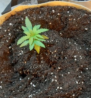 20220601_221015.jpg 20220601_221015.jpg