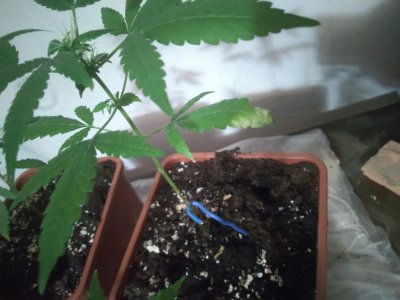 photo_2022-06-02_02-55-29 (2).jpg