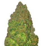 1773506102607.png 1773506102607.png