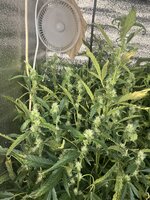 4 — копия.jpg