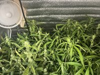 6 — копия.jpg