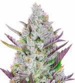 1773862104940.png 1773862104940.png