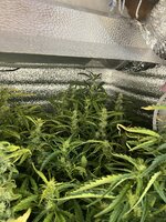 3 — копия.jpg 3 — копия.jpg