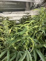 4 — копия.jpg 4 — копия.jpg