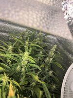 8 — копия.jpg 8 — копия.jpg