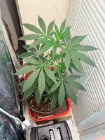 WhatsApp Image 2026-04-13 at 16.18.43.jpeg