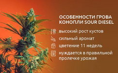 1777055147171.png