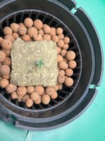 3 — копия.JPG