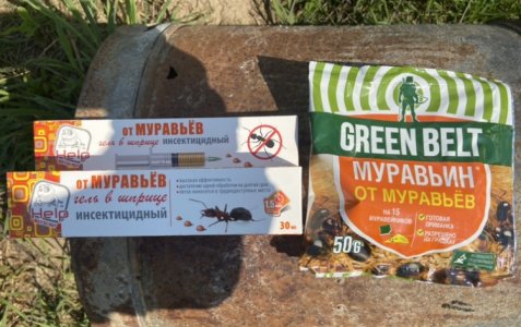 От муравьев.jpeg