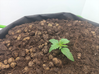 1780080844201.png
