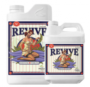 Изображение PNG 2.png