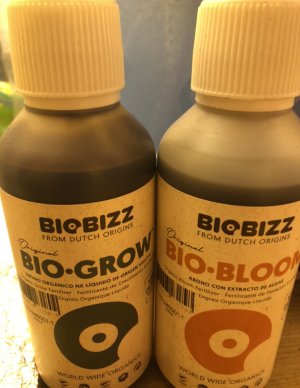 DD67C682-61A9-4392-9B52-DBB6A125B413.jpeg DD67C682-61A9-4392-9B52-DBB6A125B413.jpeg