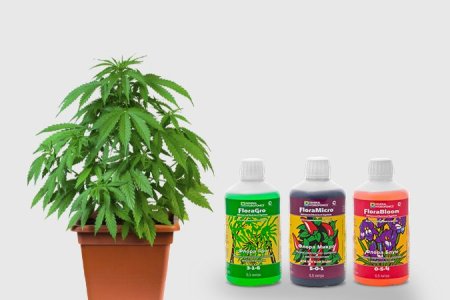 удобрения для конопли