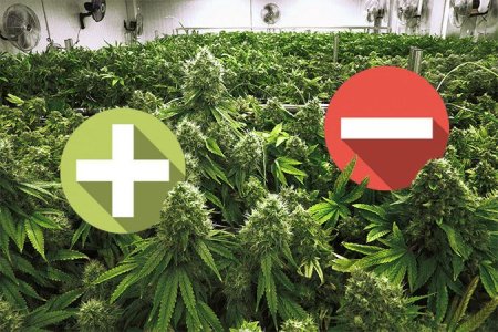 плюсы и минусы SOG