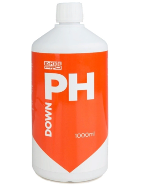 загруженное (3).png