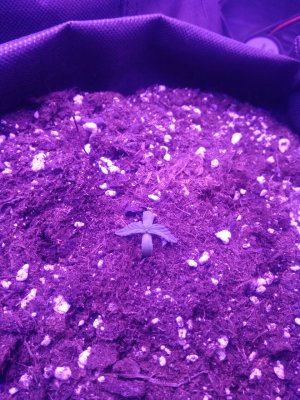 photo_2022-07-17_13-00-19 (3).jpg