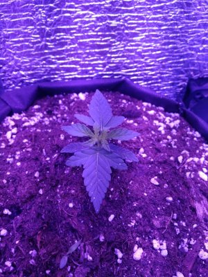 photo_2022-07-24_09-59-49 (2).jpg