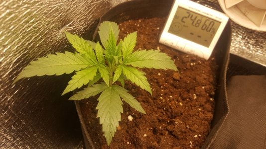 Экстрим 28,07.jpg