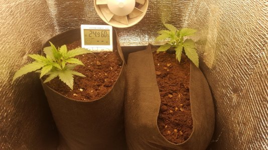 Общий вид 2.jpg