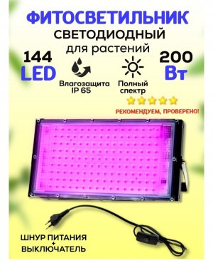 IMG_20220729_130316.jpg IMG_20220729_130316.jpg