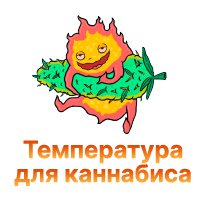 26-Temperatura dlya kannabisa-100.jpg