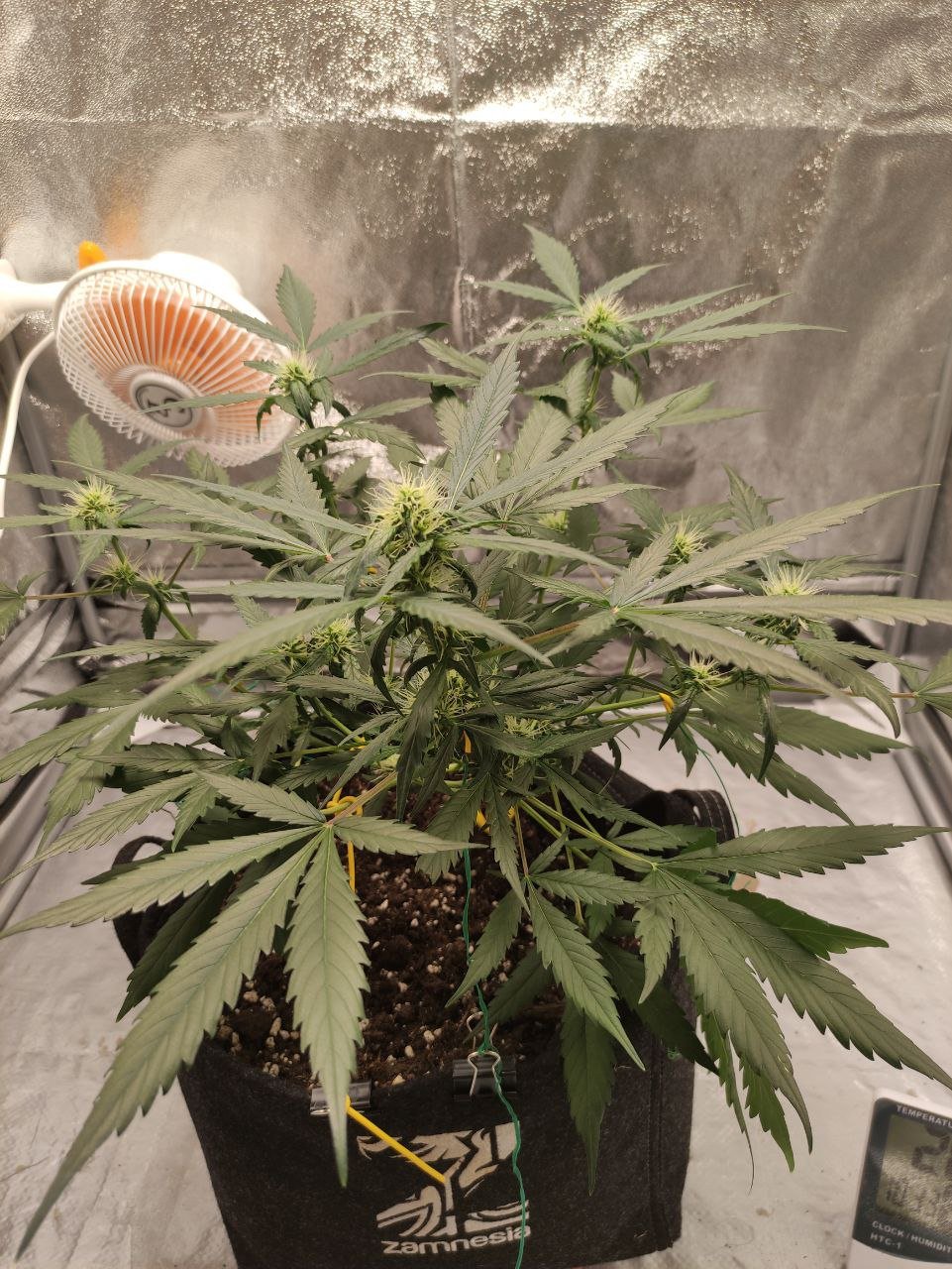 photo_2022-08-17_10-34-10 - Copia.jpg