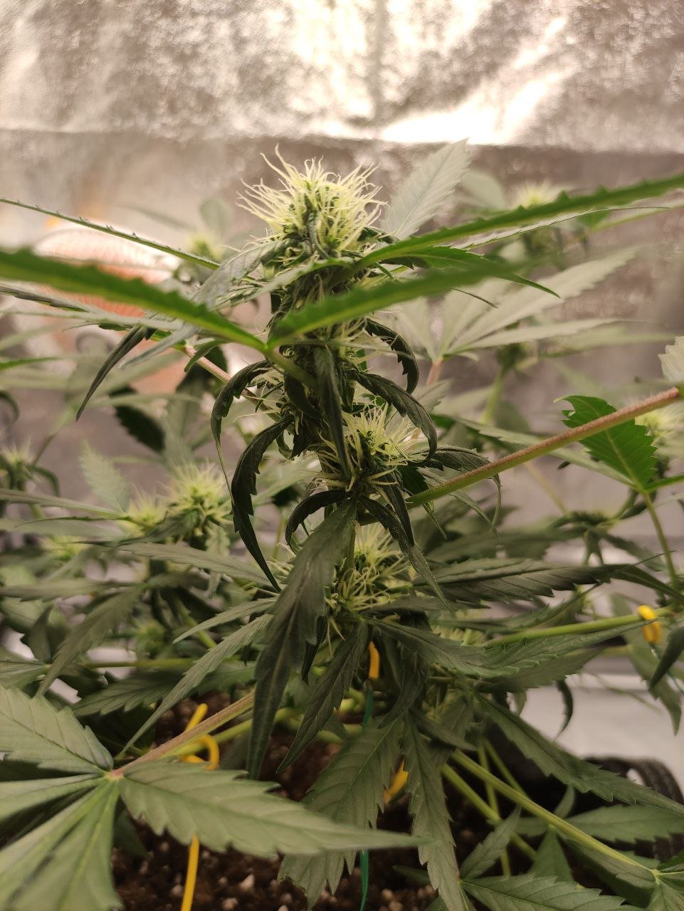 photo_2022-08-17_11-49-09 - Copia.jpg