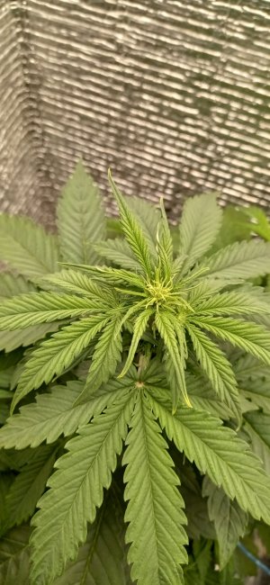 4 — копия.jpg