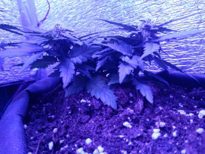 photo_2022-08-27_09-02-09 (2).jpg