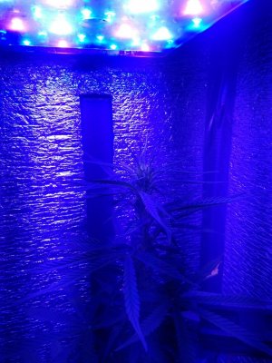 photo_2022-09-03_09-12-55 (2).jpg