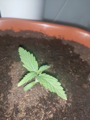 P20904-001938.jpg P20904-001938.jpg