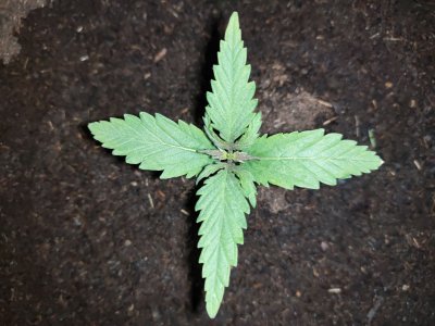 P20905-180304.jpg P20905-180304.jpg