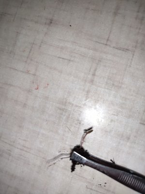 P20905-190221.jpg P20905-190221.jpg