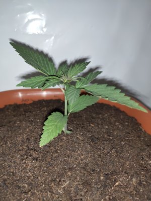 P20908-164328.jpg P20908-164328.jpg