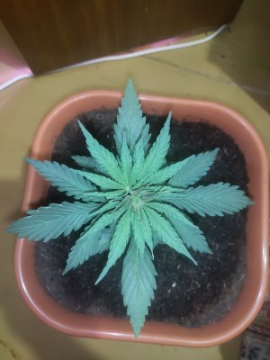 P20913-005829.jpg P20913-005829.jpg