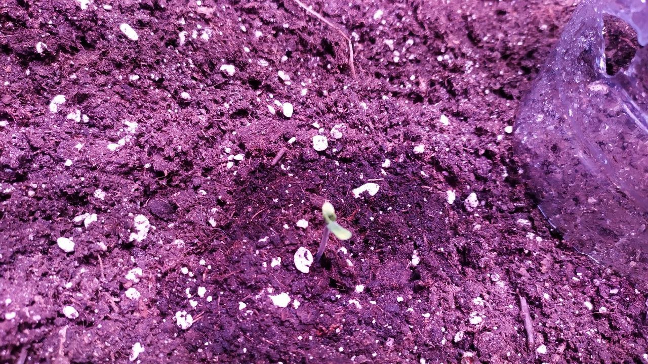 photo_2022-09-22_10-31-59 (2).jpg