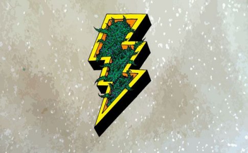 Роль сахаров в развитии конопли