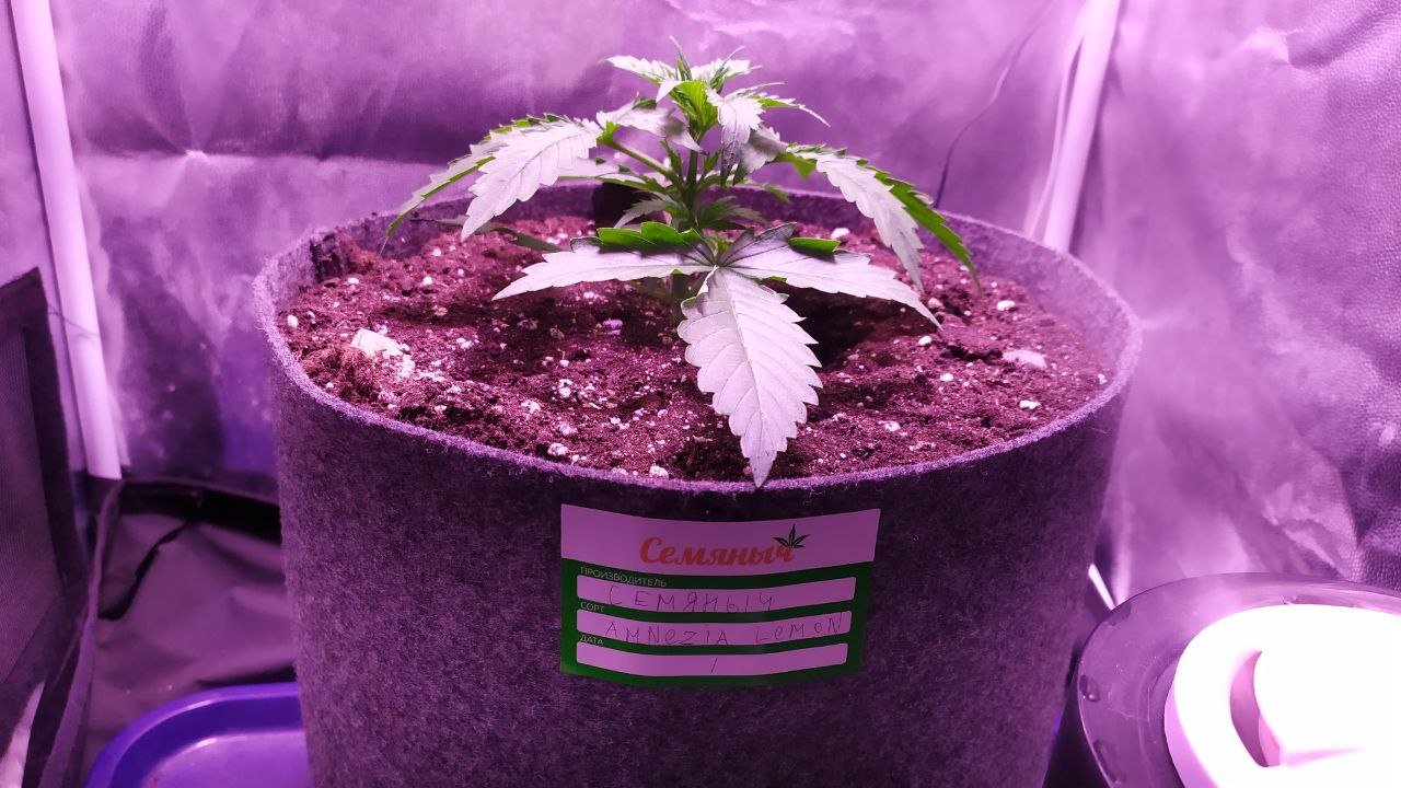 photo_2022-10-04_10-28-19 (3).jpg