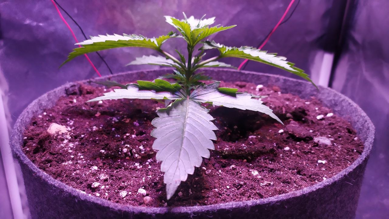 photo_2022-10-04_10-09-05 (2).jpg