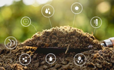 Что такое гуминовая и фульвовая кислоты?